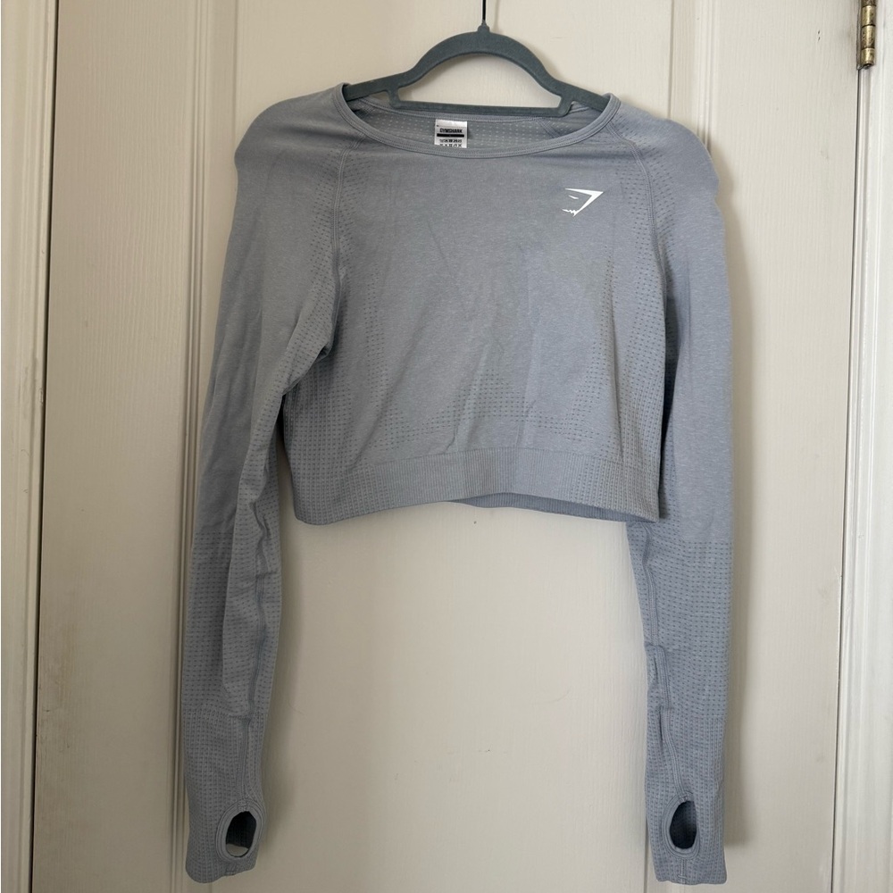 Gymshark Light Gray Seamless Long Sleeve Crop Top